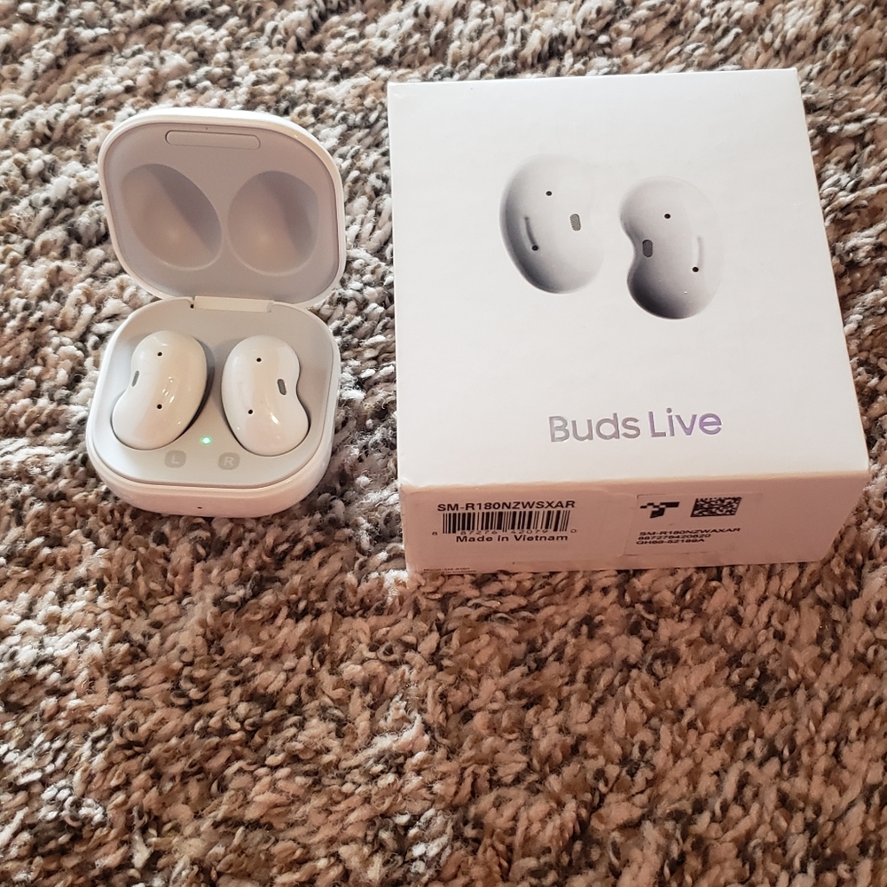 Samsung Ear Buds